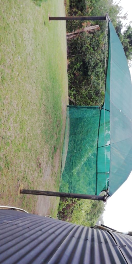 Commercial Property for Sale in Kabeljauws Eastern Cape